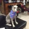 Guys & Dolls Hair Salon